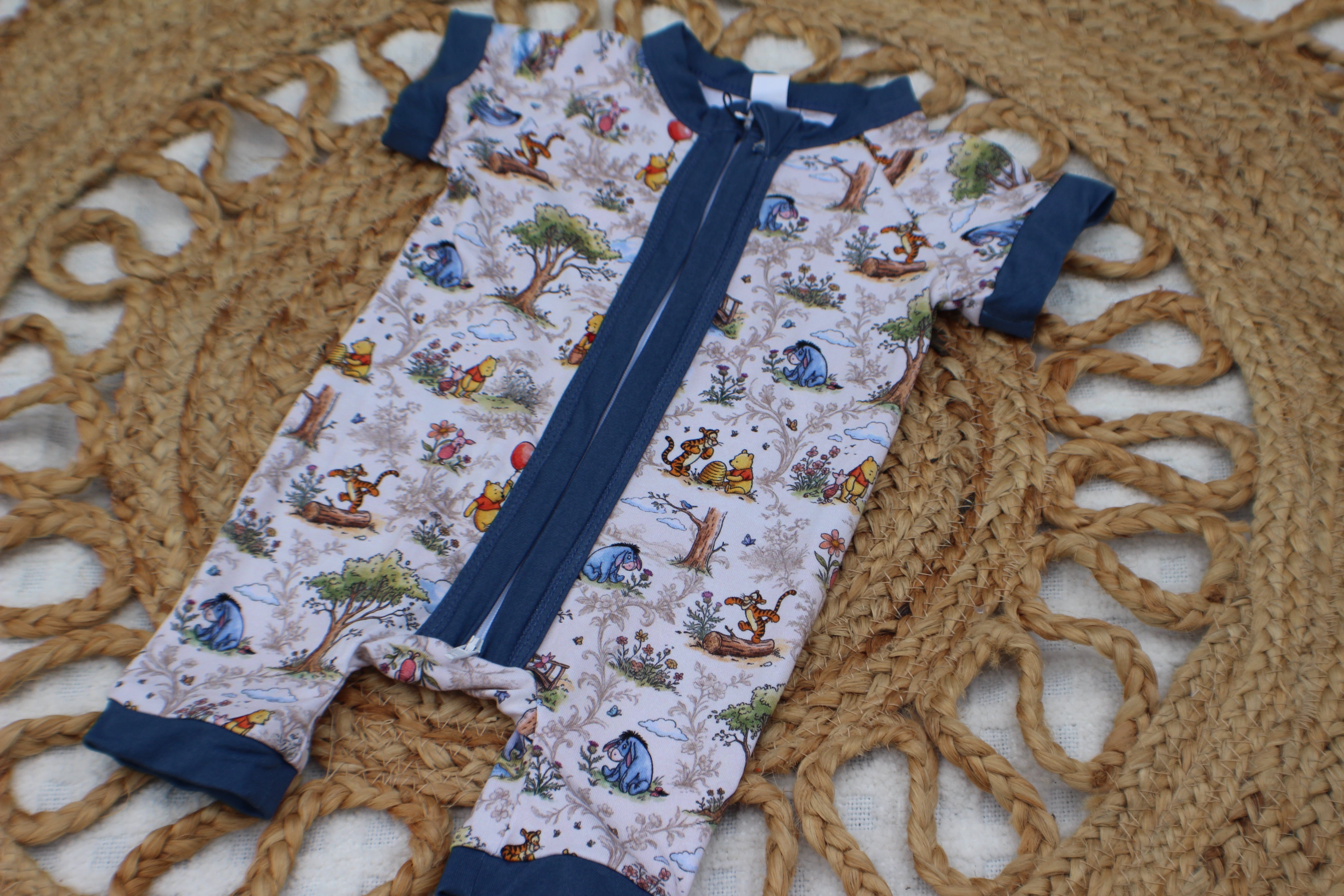 Winnie the Pooh Zippy